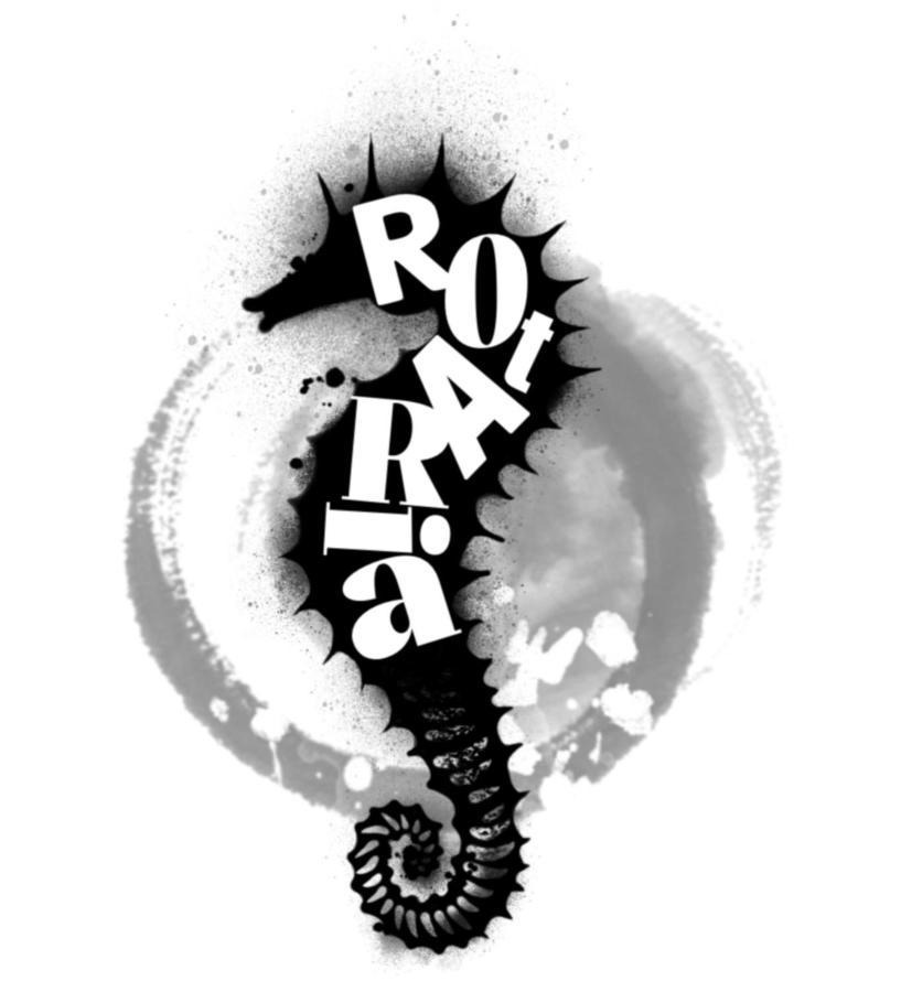 Rota Ria Alojamento Local Αβέιρο Εξωτερικό φωτογραφία